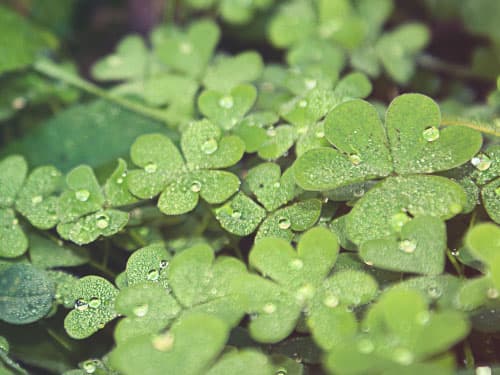 10 Tips for Job Seekers: How to Create Your Own Job-Search Luck