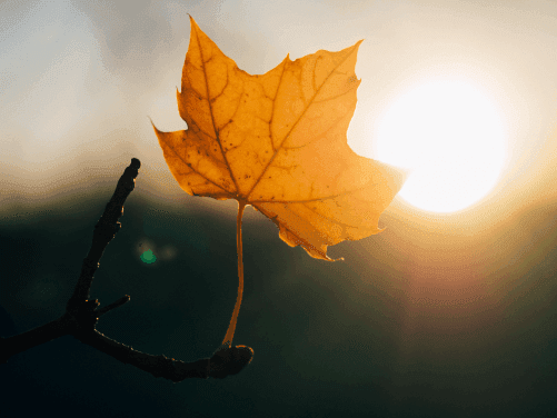 How to Stay Positive During Your Job Search: 9 Simple Tips