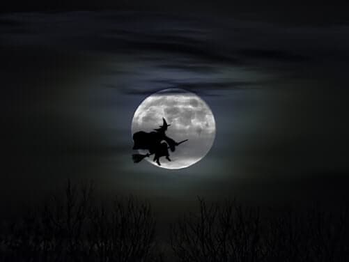 We Helped the Wicked Witch of the West Tell Her Career Story