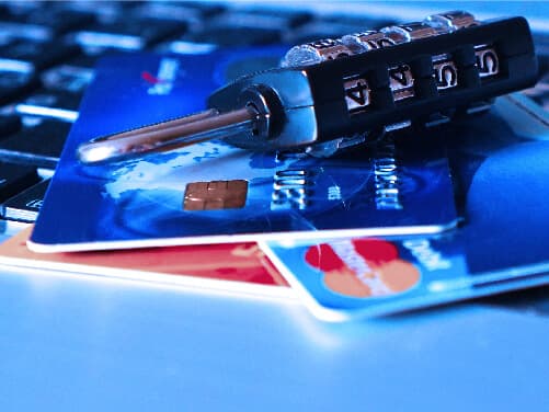 Online Identity Theft and Job Searching