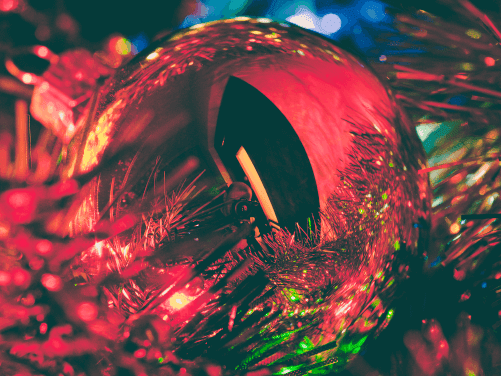 The 12 Days of Job Hunting