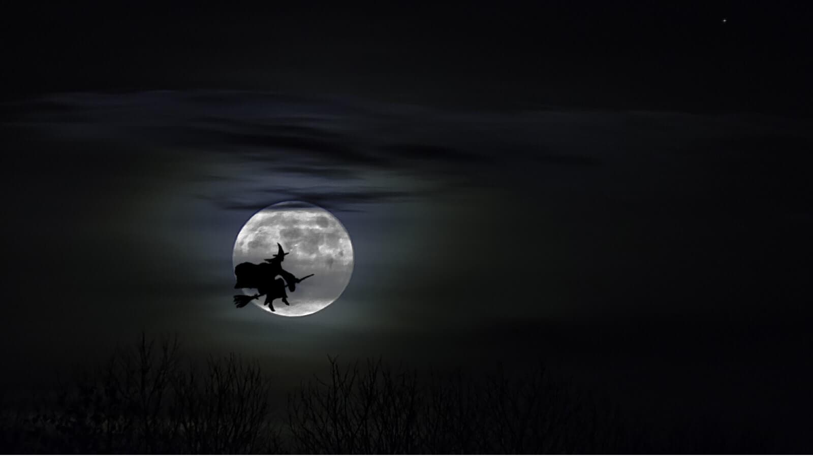 Witch's silhouette in the moonlight