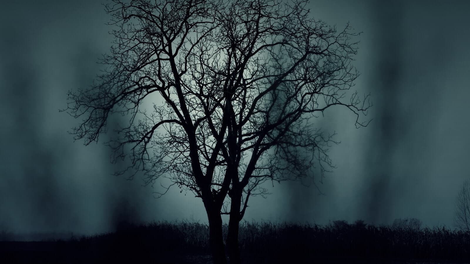 Creepy tree by moonlight