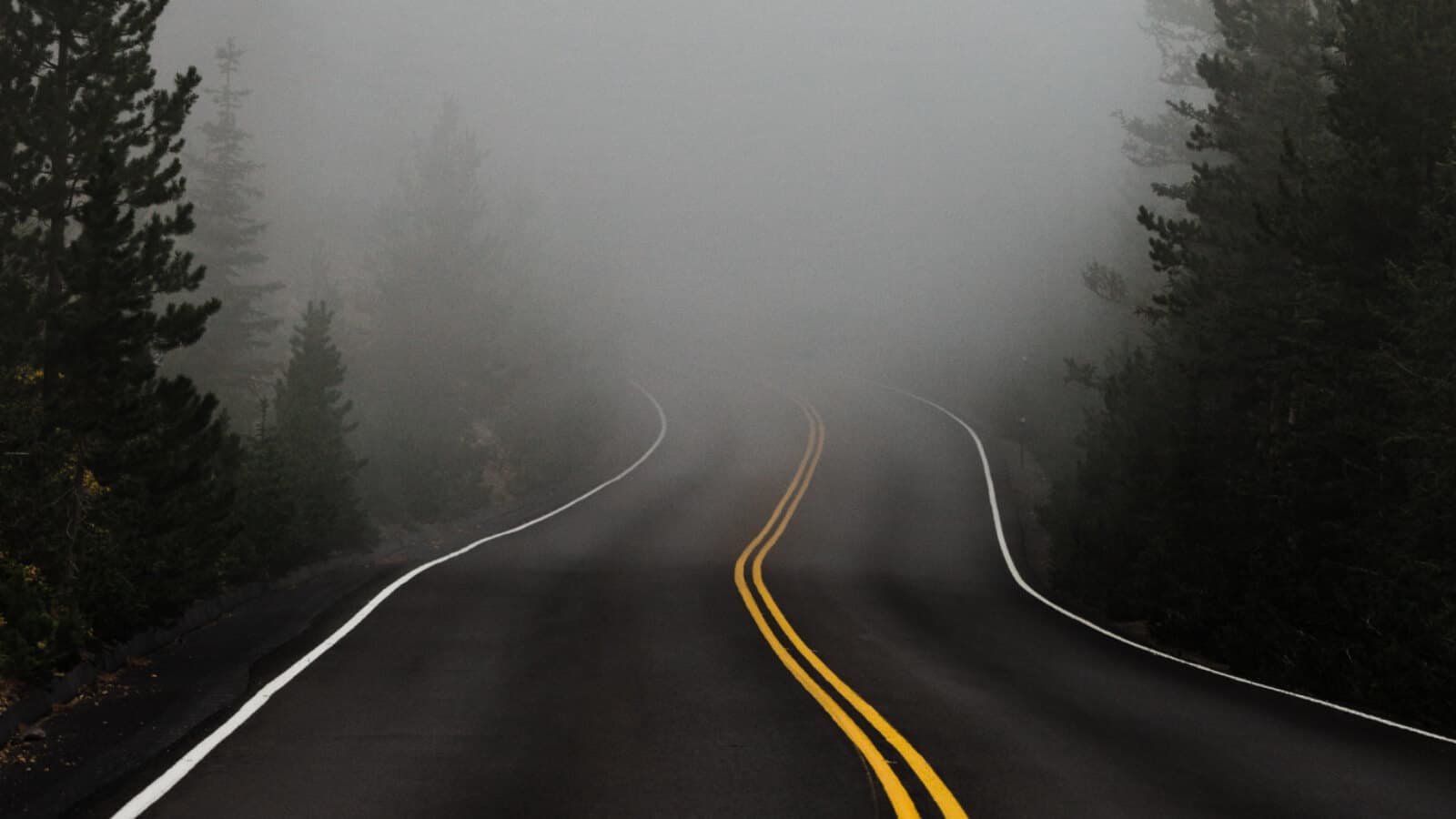 road winding into misty forest