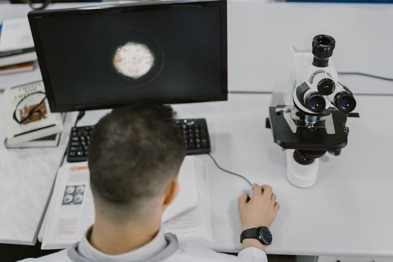Computer Scientist at work