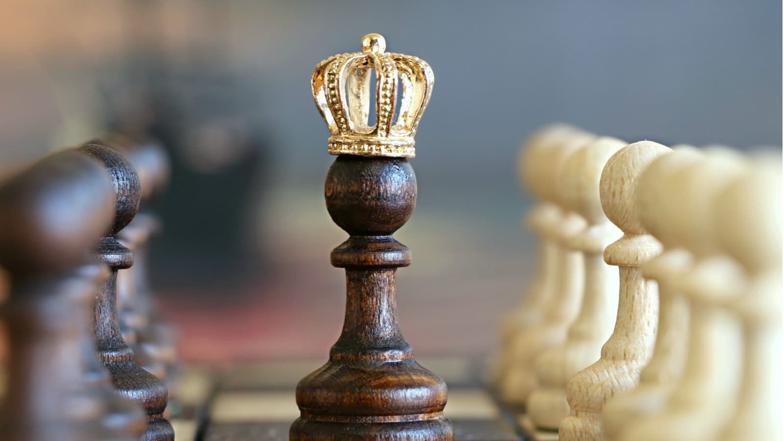Chess wins
